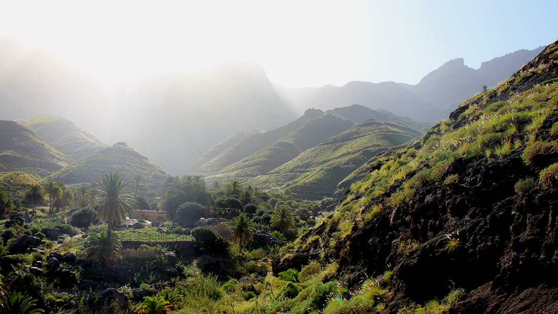 Barranco de Guayedra, Agaete, Gran Canaria